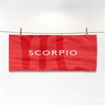 Zodiac Scorpio Cosmetic Storage Cases Front