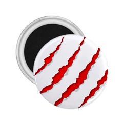 Scratches Claw Red White 2 25  Magnets by Mariart