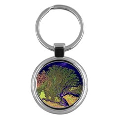 Lena River Delta A Photo Of A Colorful River Delta Taken From A Satellite Key Chains (round) 