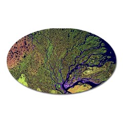 Lena River Delta A Photo Of A Colorful River Delta Taken From A Satellite Oval Magnet by Simbadda