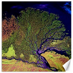 Lena River Delta A Photo Of A Colorful River Delta Taken From A Satellite Canvas 12  X 12   by Simbadda