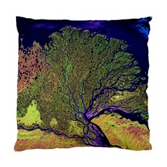 Lena River Delta A Photo Of A Colorful River Delta Taken From A Satellite Standard Cushion Case (two Sides) by Simbadda