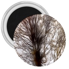 Tree Art Artistic Tree Abstract Background 3  Magnets