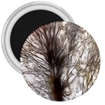 Tree Art Artistic Tree Abstract Background 3  Magnets Front