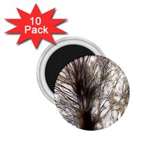 Tree Art Artistic Tree Abstract Background 1.75  Magnets (10 pack) 