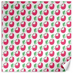 Fruit Pink Green Mangosteen Canvas 16  X 16   by Mariart