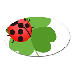 Insect Flower Floral Animals Green Red Oval Magnet by Mariart