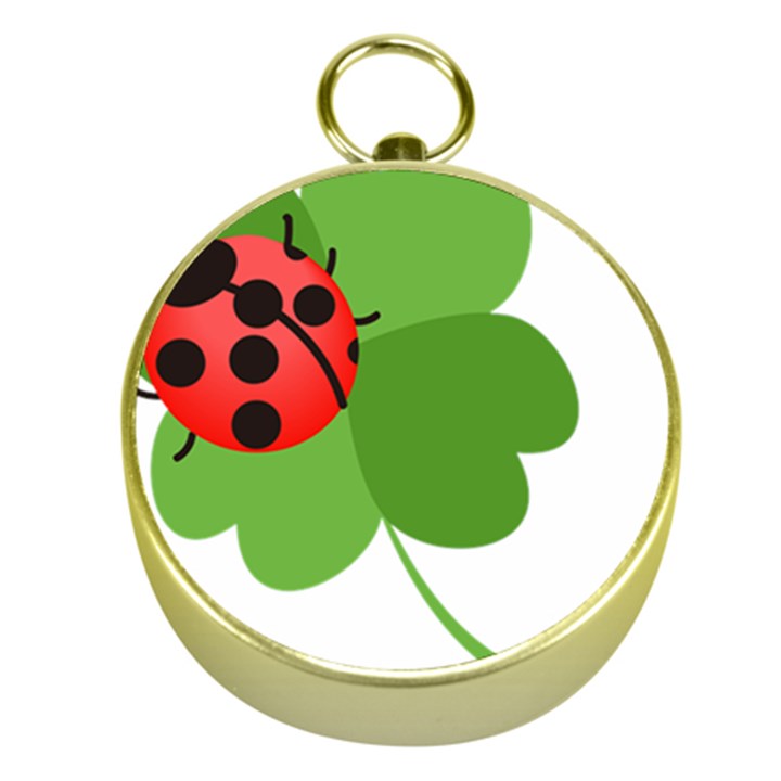 Insect Flower Floral Animals Green Red Gold Compasses