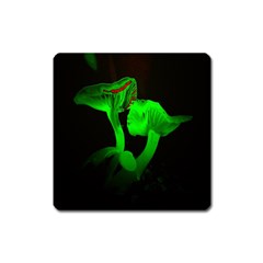 Neon Green Resolution Mushroom Square Magnet by Mariart