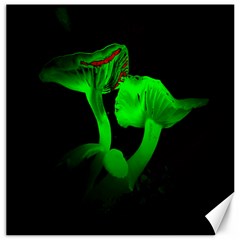 Neon Green Resolution Mushroom Canvas 20  X 20   by Mariart