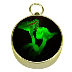 Neon Green Resolution Mushroom Gold Compasses by Mariart