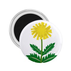 Sunflower Floral Flower Yellow Green 2.25  Magnets