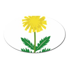 Sunflower Floral Flower Yellow Green Oval Magnet by Mariart