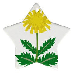 Sunflower Floral Flower Yellow Green Star Ornament (two Sides)