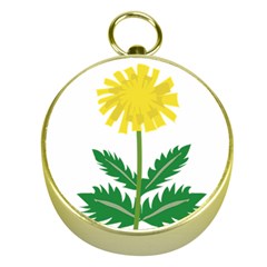 Sunflower Floral Flower Yellow Green Gold Compasses