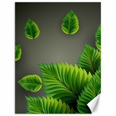 Leaf Green Grey Canvas 12  X 16   by Mariart