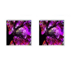 Pink Abstract Tree Cufflinks (square) by Nexatart