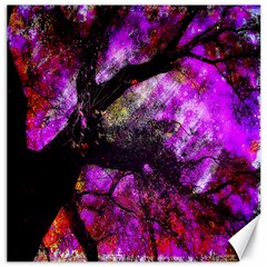 Pink Abstract Tree Canvas 16  X 16   by Nexatart