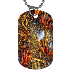 Abstract In Orange Sealife Background Abstract Of Ocean Beach Seaweed And Sand With A White Feather Dog Tag (two Sides) by Nexatart