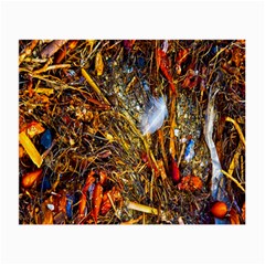 Abstract In Orange Sealife Background Abstract Of Ocean Beach Seaweed And Sand With A White Feather Small Glasses Cloth by Nexatart