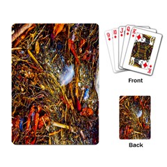 Abstract In Orange Sealife Background Abstract Of Ocean Beach Seaweed And Sand With A White Feather Playing Card by Nexatart