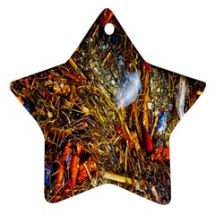 Abstract In Orange Sealife Background Abstract Of Ocean Beach Seaweed And Sand With A White Feather Star Ornament (two Sides) by Nexatart