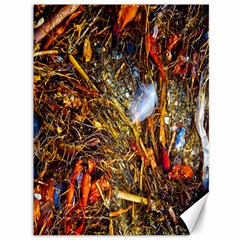 Abstract In Orange Sealife Background Abstract Of Ocean Beach Seaweed And Sand With A White Feather Canvas 36  X 48   by Nexatart