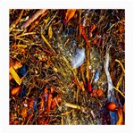 Abstract In Orange Sealife Background Abstract Of Ocean Beach Seaweed And Sand With A White Feather Medium Glasses Cloth Front