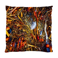 Abstract In Orange Sealife Background Abstract Of Ocean Beach Seaweed And Sand With A White Feather Standard Cushion Case (one Side) by Nexatart