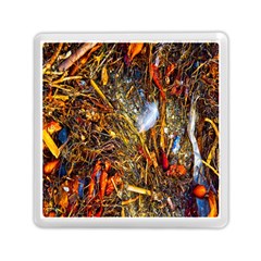 Abstract In Orange Sealife Background Abstract Of Ocean Beach Seaweed And Sand With A White Feather Memory Card Reader (square) 