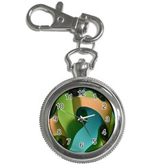 Ribbons Of Blue Aqua Green And Orange Woven Into A Curved Shape Form This Background Key Chain Watches by Nexatart