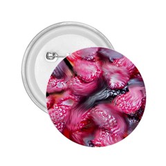 Raspberry Delight 2 25  Buttons by Nexatart