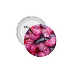 Raspberry Delight 1 75  Buttons by Nexatart