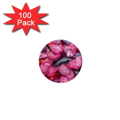 Raspberry Delight 1  Mini Buttons (100 Pack)  by Nexatart