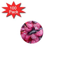 Raspberry Delight 1  Mini Magnets (100 Pack)  by Nexatart