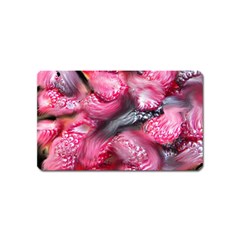 Raspberry Delight Magnet (name Card) by Nexatart