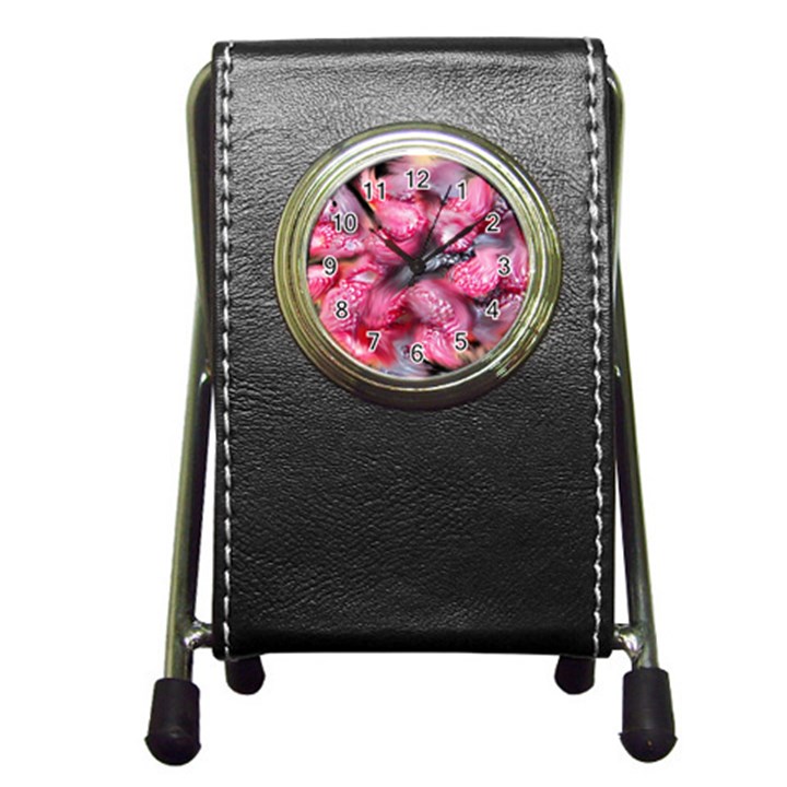 Raspberry Delight Pen Holder Desk Clocks