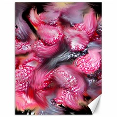 Raspberry Delight Canvas 12  X 16   by Nexatart