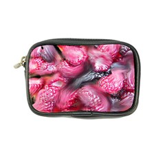 Raspberry Delight Coin Purse by Nexatart