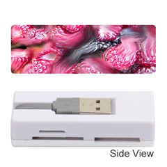 Raspberry Delight Memory Card Reader (stick)  by Nexatart