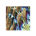 Background, Wallpaper, Texture Satin Bandana Scarf Front