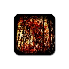 Forest Trees Abstract Rubber Coaster (square)  by Nexatart