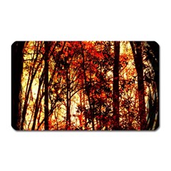 Forest Trees Abstract Magnet (rectangular) by Nexatart