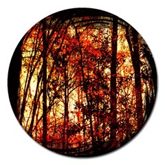 Forest Trees Abstract Magnet 5  (round) by Nexatart