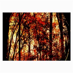 Forest Trees Abstract Large Glasses Cloth by Nexatart