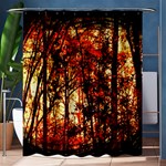 Forest Trees Abstract Shower Curtain 60  x 72  (Medium)  60 x72  Curtain