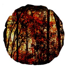 Forest Trees Abstract Large 18  Premium Round Cushions by Nexatart