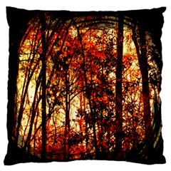 Forest Trees Abstract Standard Flano Cushion Case (one Side) by Nexatart