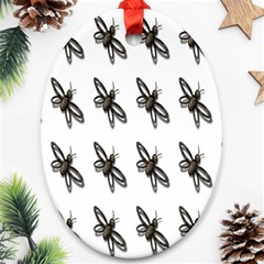 Insect Animals Pattern Ornament (Oval)