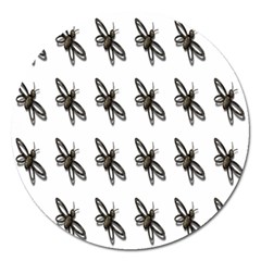 Insect Animals Pattern Magnet 5  (round) by Nexatart